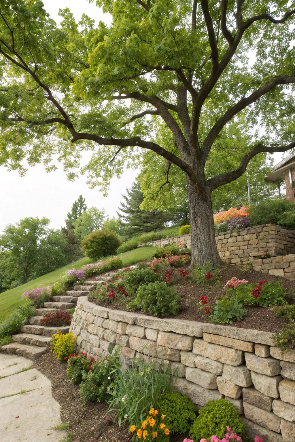 Support structures add framework and reduce soil erosion near trees.