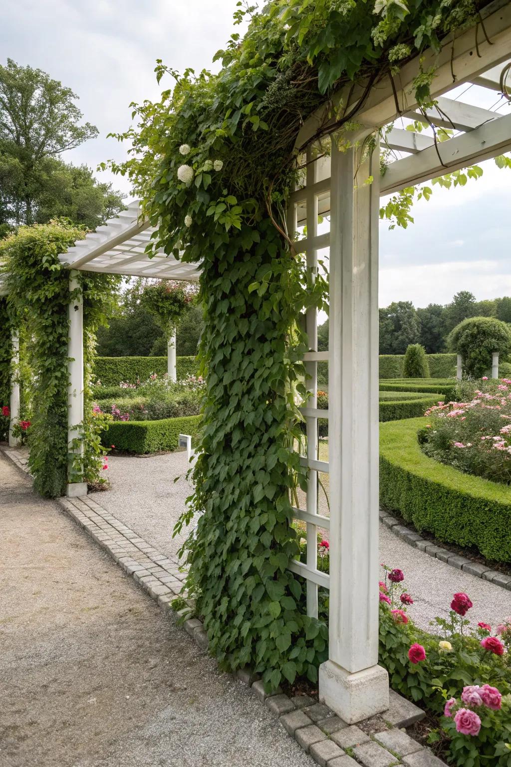 Trellises become magical with climbing artificial vines.