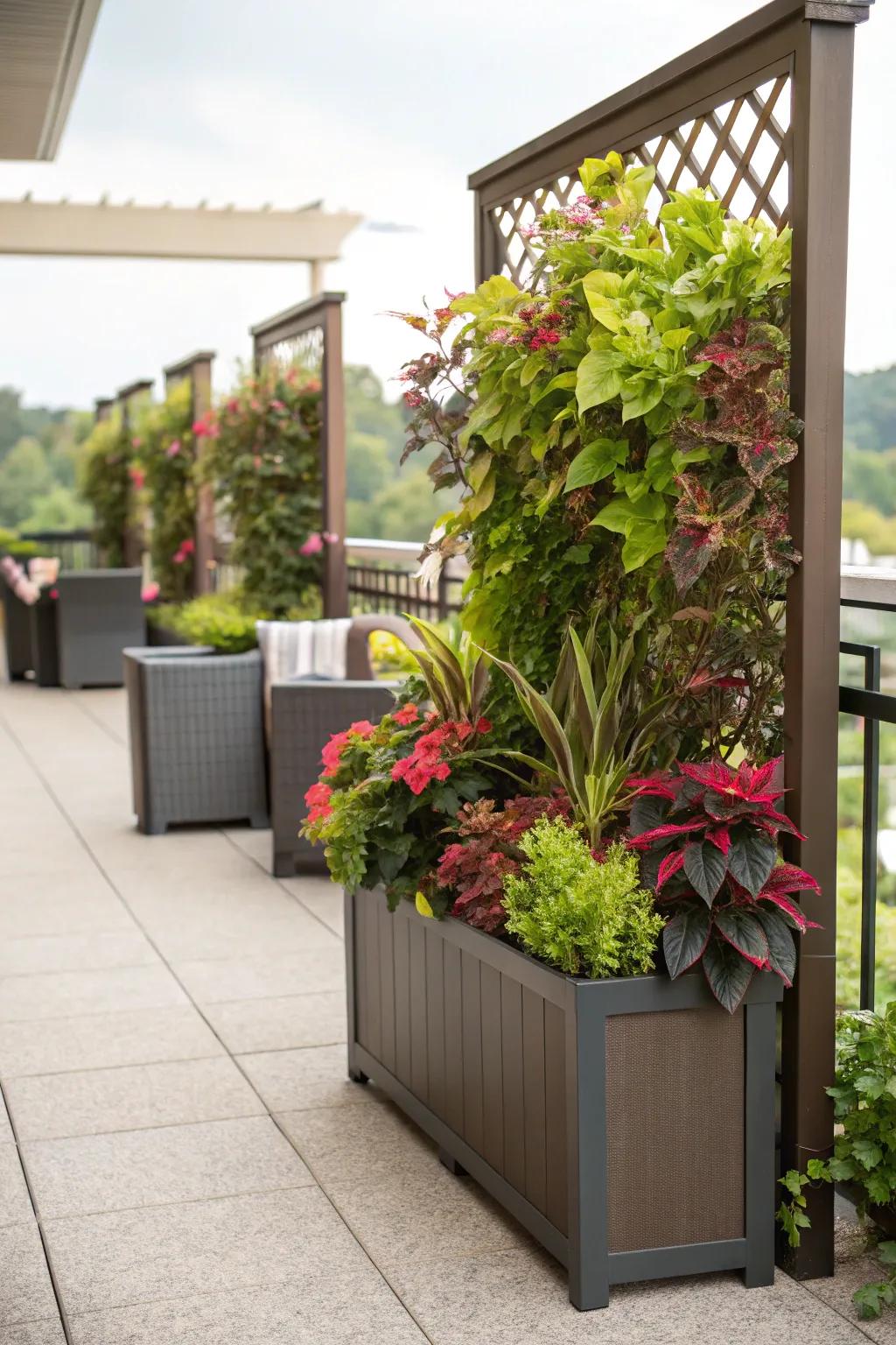 Flora boxes with screens seamlessly merge greenery and privacy.