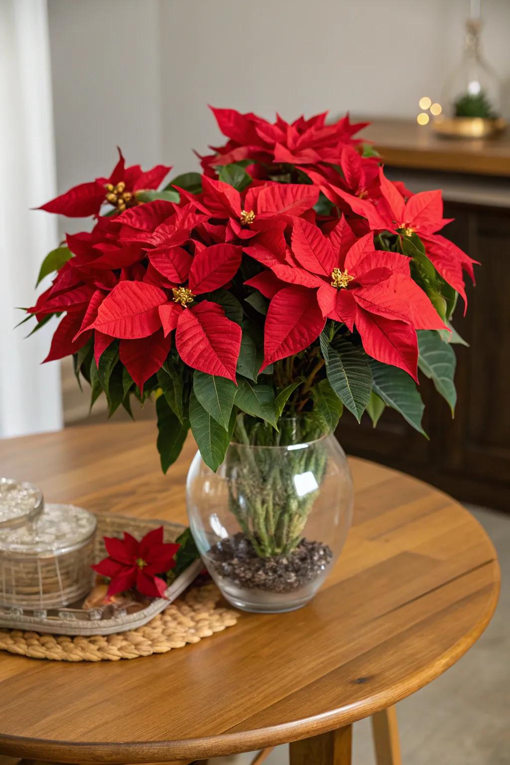 Elegant crimson floral setups for the holidays.