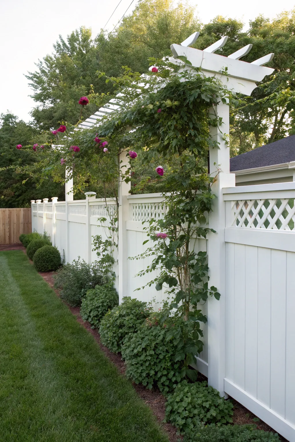 Top Fencing Options to Enhance Your Backyard
